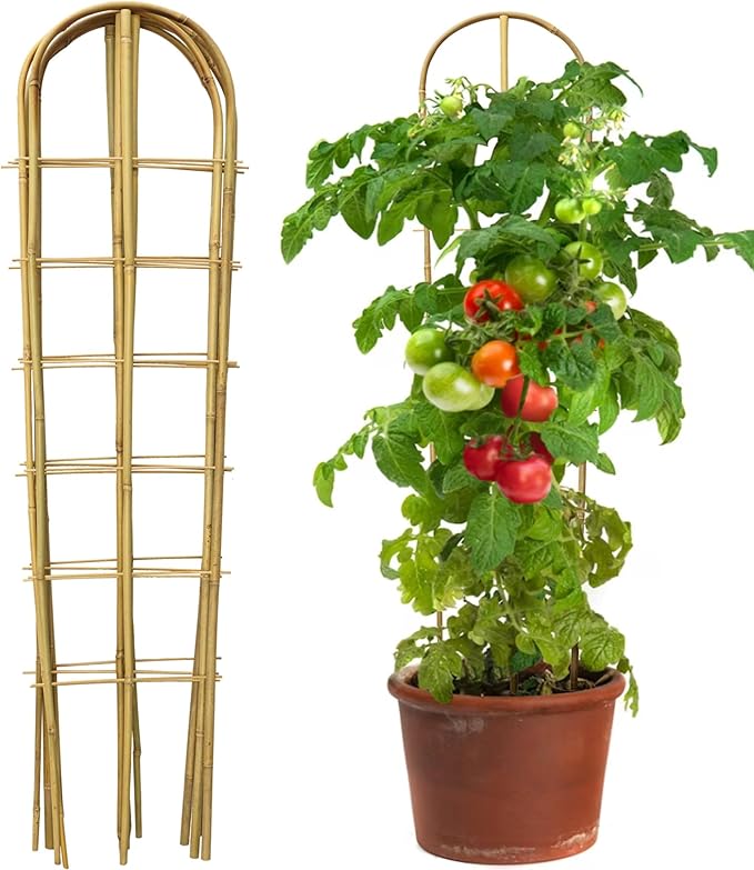 5 Pack 4 Feet U-Shape Bamboo Trellis Natural Bamboo Trellis for Climbing Plants Vegetables Cucumber Tomato Outdoor and Indoor Potted Plants