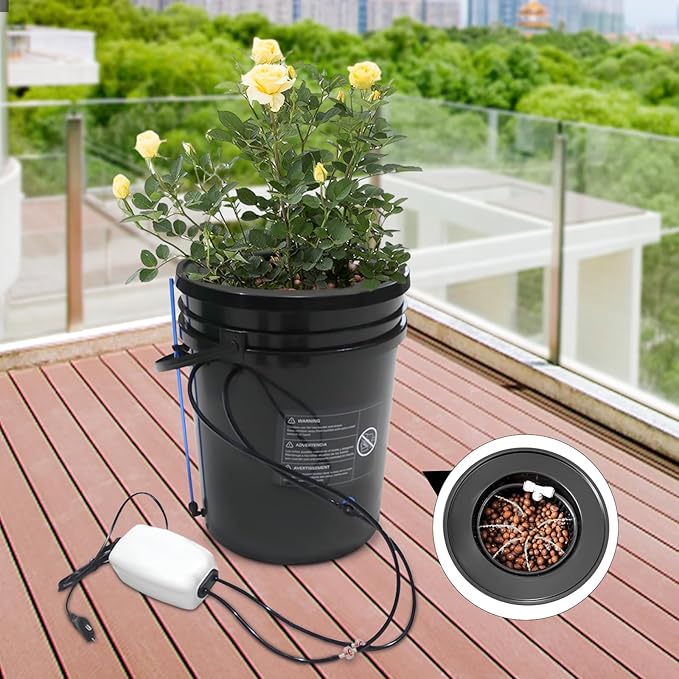 5 Gal Hydroponic Growing System Indoor Deep Water Culture with Drip Irrigation &amp Air Pump 8 Basket Kit for Vegetables Herbs Home Garden
