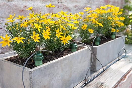Blumat Watering System Stakes 10 Plant Starter Drip Irrigation | Great for Houseplants and Garden