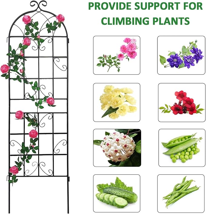 4 Pack Large Garden Trellis 71 H x 19.7 W Heavy Duty Rustproof Black Iron Plant Trellis for Potted Plant Support Metal Climbing Rose Trellis Vine Vegetable Cucumber