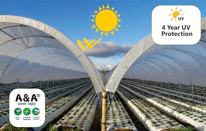 A&ampA Green Store Greenhouse Plastic 4 Year 6 mil UV Resistant Clear Polyethylene Film (25' x 40')