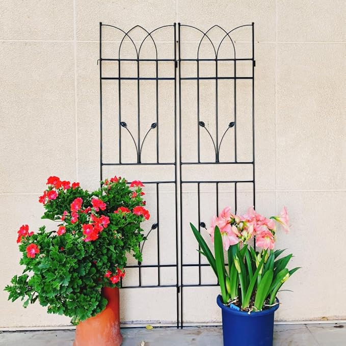 Sturdy Metal Garden Trellis for Climbing Plants – Rust-Resistant Outdoor Plant Support for Vines Roses and Flowers (2 Pack-Black)