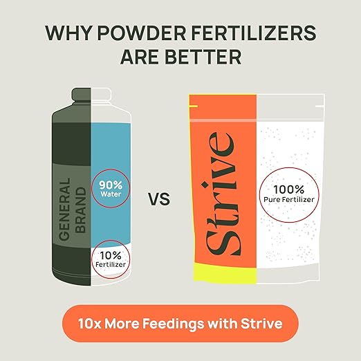 Strive Fertilizer Part A Package - Veg + Bloom General Hydroponic Nutrients - Premium Indoor Outdoor and Soil Growing Plant Food - Enhancer - Booster for Vegetables Succulents Flowers &amp More
