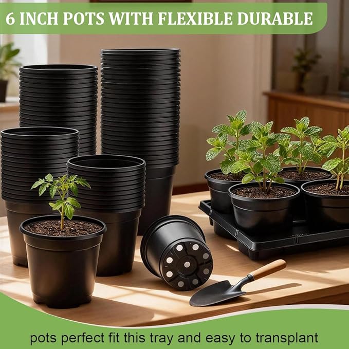 6 Inch Plastic Plant Pots 30 Pack and 6 Cell Nursery Pots Trays 5 Pack Sturdy Seeds Starting Germination Shuttle Carrying Trays Black Nursery Planting Propagation 5 Sets