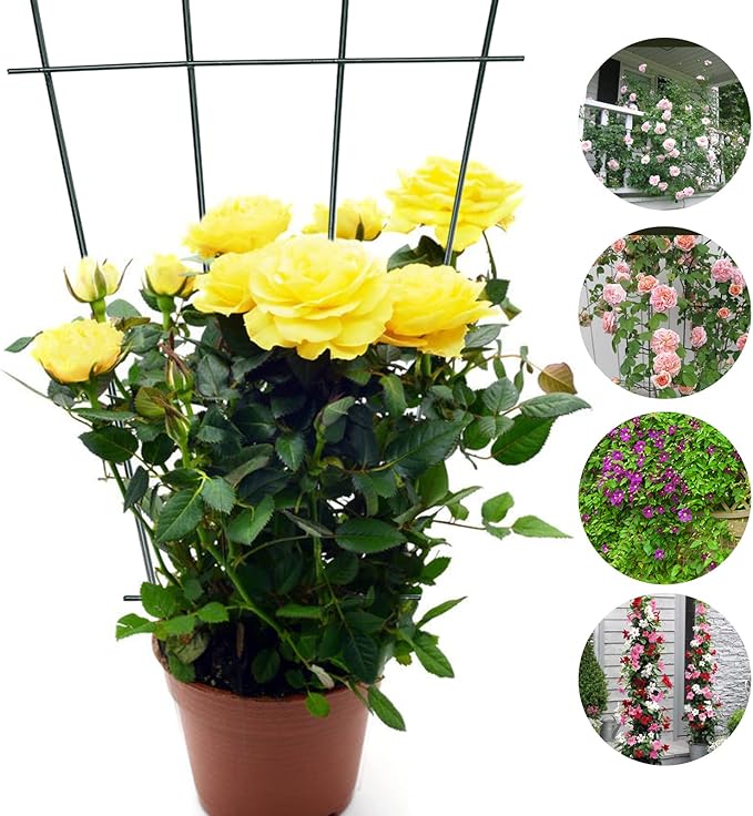Flueyer 4 Pcs Plant Trellis for Climbing Plants Indoor Green Coated Fan Pot Trellis Metal Flower Support Garden Trellis Frames for Indoor Outdoor Vines Flower Vegetable