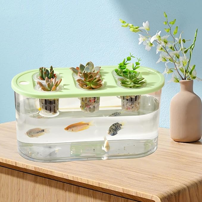 Hydroponics Grower Box Desktop Micro Landscape Tank with 6 Holes Indoor Tabletop Mini Aquarium for Vegetables Plants and Fish- Green