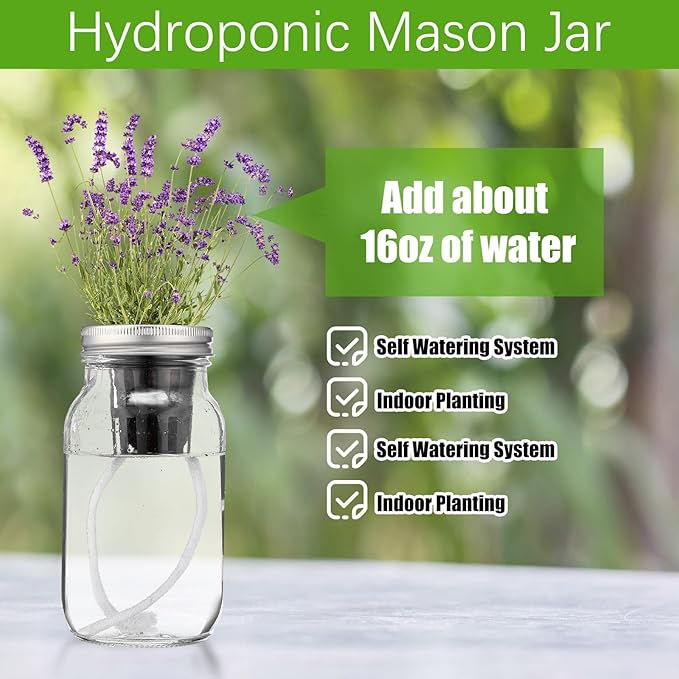6 Set Hydroponic Mason Garden Jar Kit Self Watering Herb Hydroponic Planter Starter Kit with Net Pot Garden Flower Plant Growing Gift for Indoor Herbs Windowsill Gardening