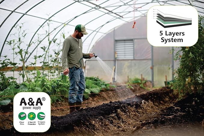 A&ampA Green Store Greenhouse Plastic 4 Year 6 mil UV Resistant Clear Polyethylene Film (24' x 20')