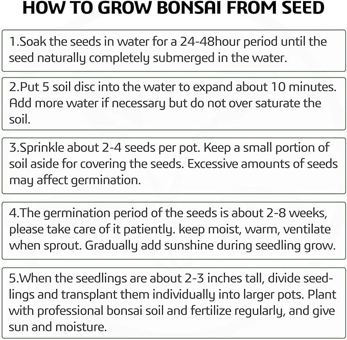 5 Bonsai Tree Kit Complete Plant Growing Tools Grow in Pot Indoor Bonsai Tree Starter Kit Great Home Gardening Potted Plants DIY Gift for Adults