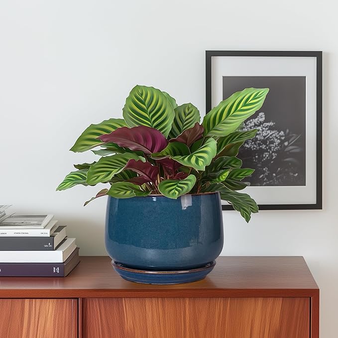 G EPGardening Ceramic Planter 6 Inch - Round Modern Ceramic Pot for Plants with Drainage and Plant Tray Indoor for Flower Apartment Decor Housewarming Gifts New Home Retro Blue