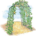 Plant Climbers Cucumber Trellis with Climbing Net &amp Detachable Support Cucumber Trellis for Garden for Towel Gourd Grape Pea Cucumber Tomato(4 Arches(120cm*160cm))