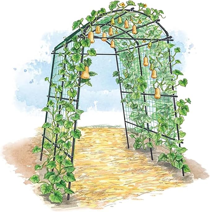 Plant Climbers Cucumber Trellis with Climbing Net &amp Detachable Support Cucumber Trellis for Garden for Towel Gourd Grape Pea Cucumber Tomato(4 Arches(120cm*160cm))