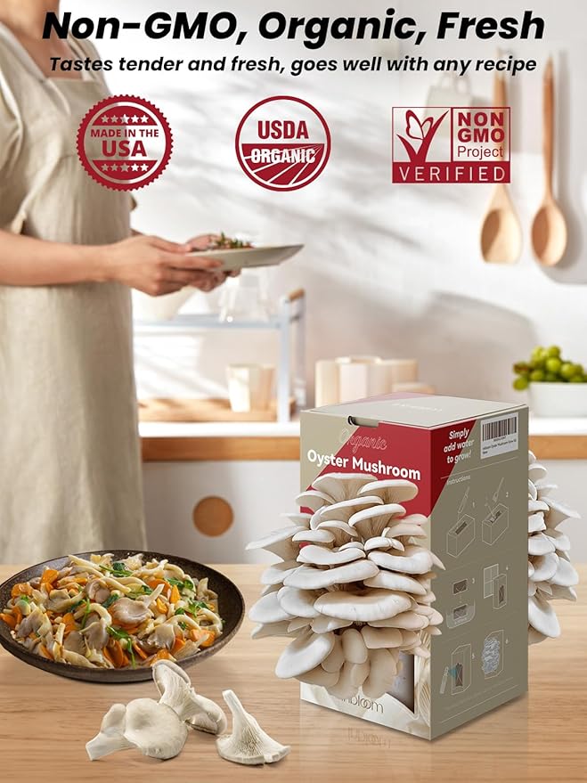 inbloom Organic Oyster Mushroom Growing Kit with Spray Harvest Fresh Mushrooms at Home Beginner Friendly &amp Easy to Use Unique Gardening Gift for Holiday Handmade in New Jersey USA