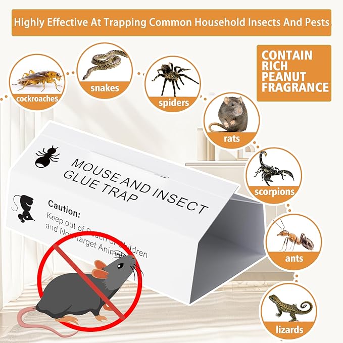 Mouse &amp Insect Glue Boards 38PKSticky Rat Mouse Traps Indoor for HomeAdhesive Tray Cockroach Pest Control for Scorpion SpiderCricket MiceBulk Glue TrapsPet Family Safe