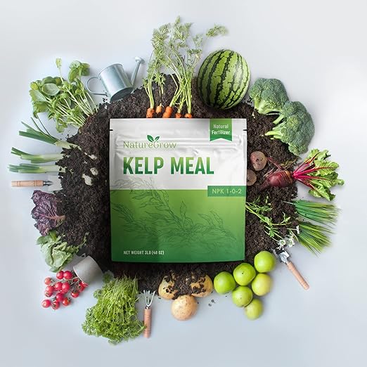Kelp Meal1-0-2 Natural Plant Food Boost Plant Health and Yield! (3lb)