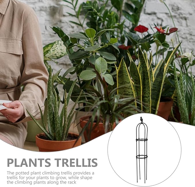 GLEAVI Plant Climbing Support Trellis Iron Art Garden Climbing Rack 25cm Diameter 120cm Height Outdoor Vine Plant Frame and Flowers
