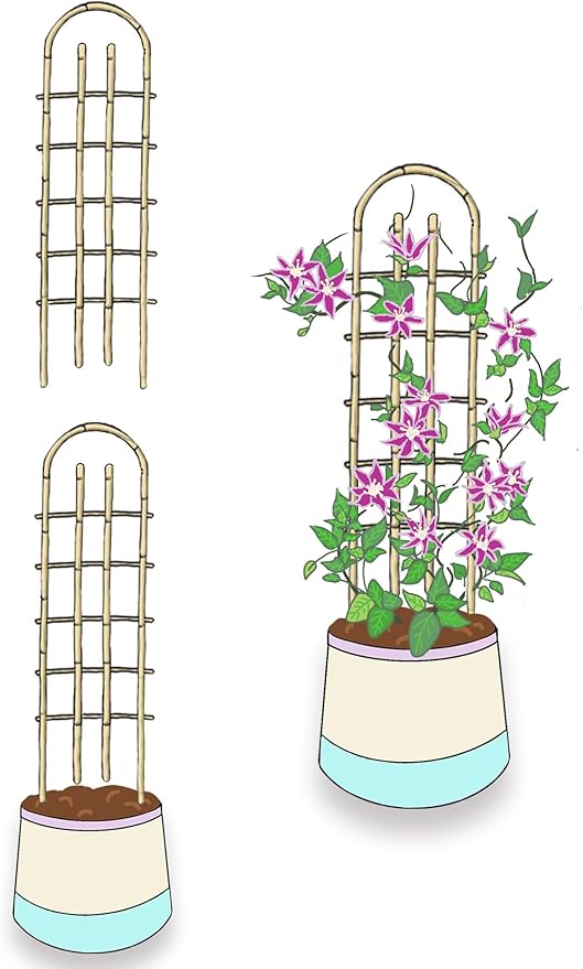 Bamboo TrellisU-Shape Bamboo Trellis4Feet3packfor Climbing Plants Outdoor BambooforClimbing PlantsTomato VegetablesFlowers Beans CucumberIndoor Potted Climb Plants