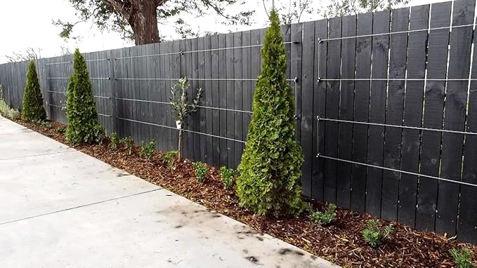 Espalar Surface Mounted Heavy Duty Universal Espalier/Trellis Kit for Climbing Plants Vines and greenwalls (Wire Included).