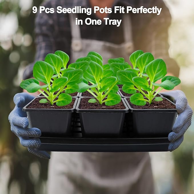 50Pcs 3.5inch Square Nursery Pots with 5Pcs Seed Starting Trays Seed Starter Tray Kit Seeds Starting Germination Seeding Pots with Drain Holes Small Plant Nursery Propagation