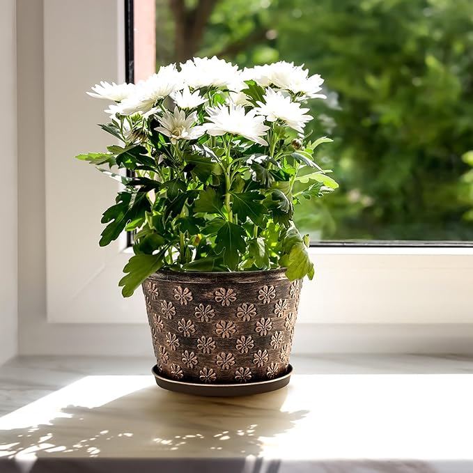 8 Inch Planter Pots for Plants Plastic Flower Pots Indoor Outdoor 5 Pack Resin Plant Pot with Drainage &amp Saucer Retro Decorative Garden Pot with Removable Trays for House