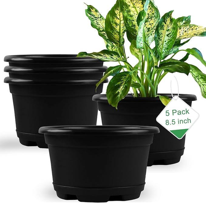 5 Pack 8.5 inch Plant PotOutdoor Flower PotsPlastic pots for Plants Indoor with Drainage Holes and Trays Decorative Garden Containers Sets for Houseplants