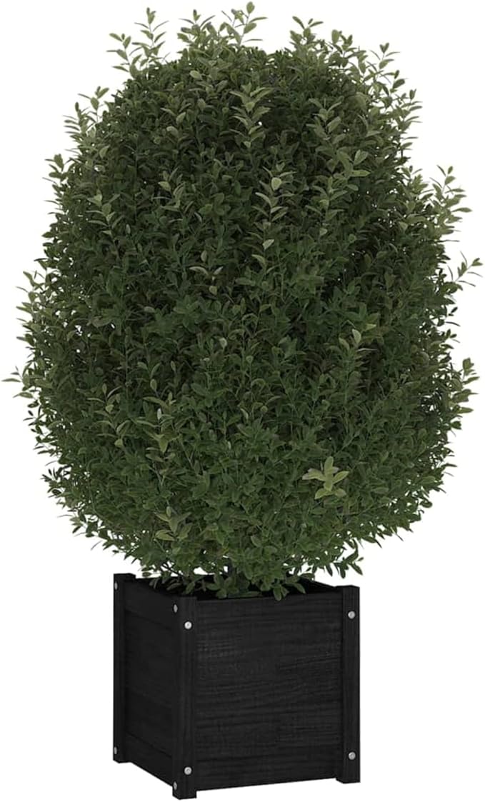 Raised Bed Wood Raised Beds for Garden Wooden Raised Bed Planter Raised Bed Wood Black Herb Bed Wood Flower Box Flower Box Flower Pot Garden Planter 40 x 40 x 40 cm Pack of 2