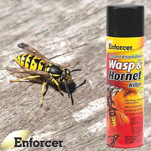 Enforcer Instant Knockdown Wasp and Hornet Killer Spray - 16oz (Case of 12) EWHIK16 - Kills with Residual Action as Wasps and Hornets Ruturn to Nest