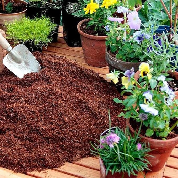 2 Pieces Coconut Coir Bricks Compressed Coconut Coir for Plants - Suitable for Planting Gardening Herbs Creepers (7.8x4.1 inches 2.2 lb)