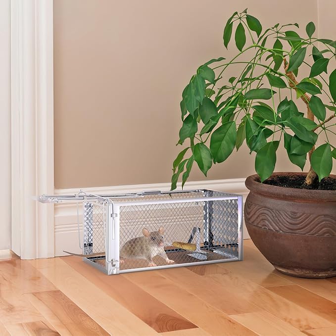 Humane Mouse Trap Live Mouse Traps Catch and ReleaseOne-Way Door Rodent Trap for Indoor &amp Outdoor UseHumane Rat Trap for Small RodentsMiceVoles &amp Squirrels