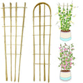 Natural Bamboo Trellis 4FeetFan-Shaped+U-Shape4PackPlant Support Trellis for Outdoor and Indoor Potted Climbing PlantsVegetables Cucumber Tomato Hoya