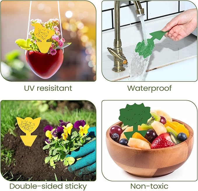 Qualirey 200 Sheets Fruit Fly Sticky Traps for Fruit Fly Gnat Trap for House Indoors Sticky Traps Catcher for Gnats Fungus Gnats Mosquito Catcher for Kitchen Outdoor Plants(Yellow Green)