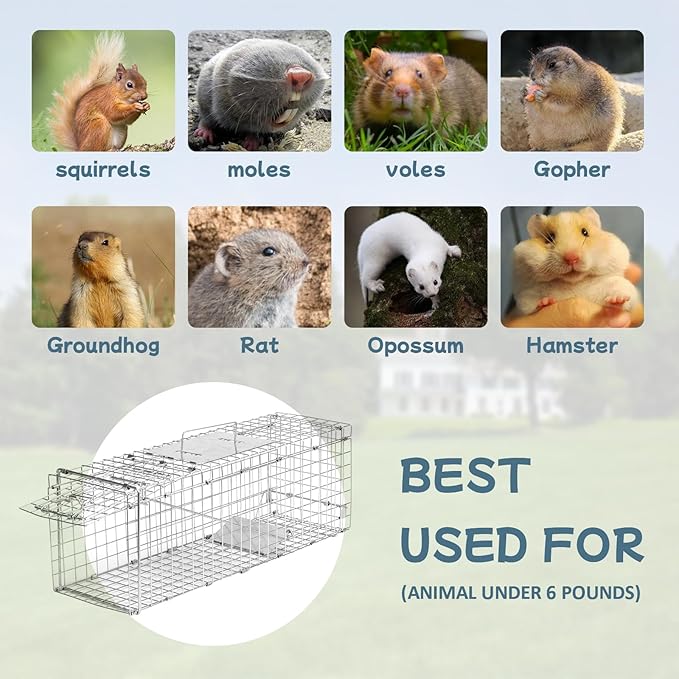 Animal Trap 24x8x7 Cage Trap Heavy Duty Folding Raccoon Traps Humane Cat Trap for Stray CatsRabbitsSquirrelsOutdoor Small Animal TrapHumane Catch &amp Release