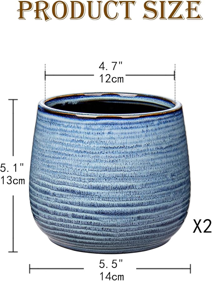 Ceramic Plant Pots 6 Inch Set of 2 Flower Plants Pot with Drainage Holes Blue Planter Garden Pot for Succulent Cactus Home Decoration Gift Indoor Outdoor