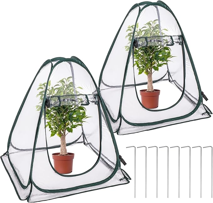 2 Pack Pop Up Greenhouse Plant Tent with 8 Ground Nails &amp 2 Carry Bags Roll-Up Door Easy Folding for Storage Creates Warmth for Plants Protection from Cold for Backyard (27.5 x 27.5 x 31.5