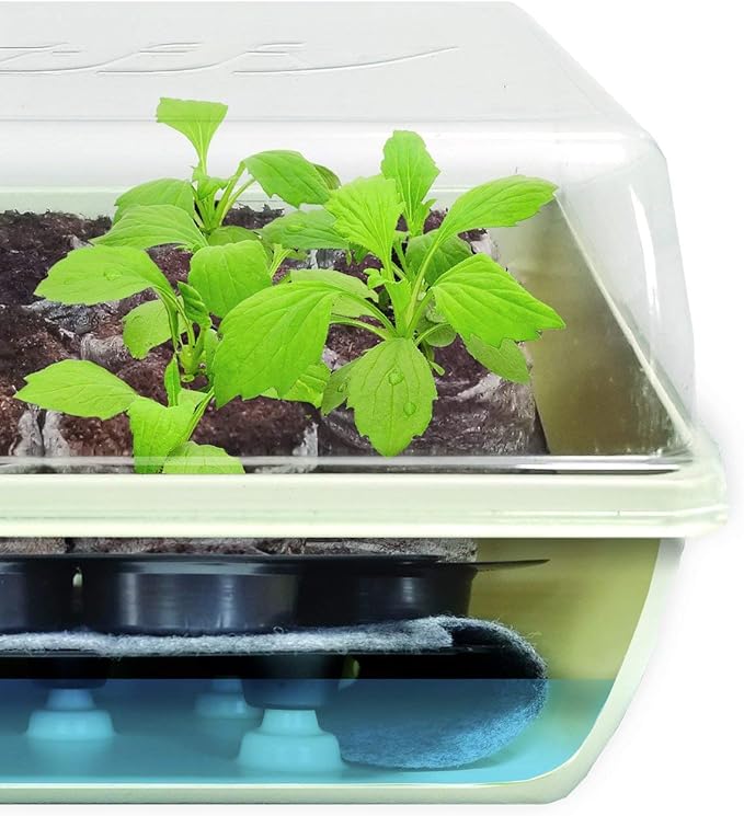 Jiffy Seed Starter Tray Kit - Self-Watering High Germination Rate Seedling Tray - 2 Pack Peat/Plastic
