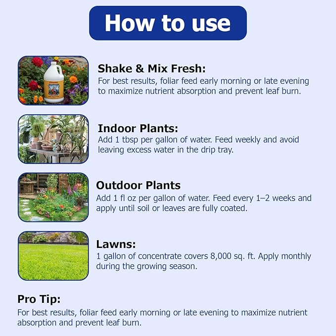 Neptune's Harvest Fish Fertilizer (2-4-1) - Organic Liquid Plant Fertilizer - Fish Hydrolysate for Vegetables Flowers Fruit Trees Grass - Indoor and Outdoor Plant Food (Gallon)