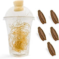 Carolina Praying Mantis Egg Cases Hatching Habitat Cup (Five Egg Cases) - Beneficial for Stem Education and Gardening Approximately 50 to 200 Baby Nymphs Praying mantises