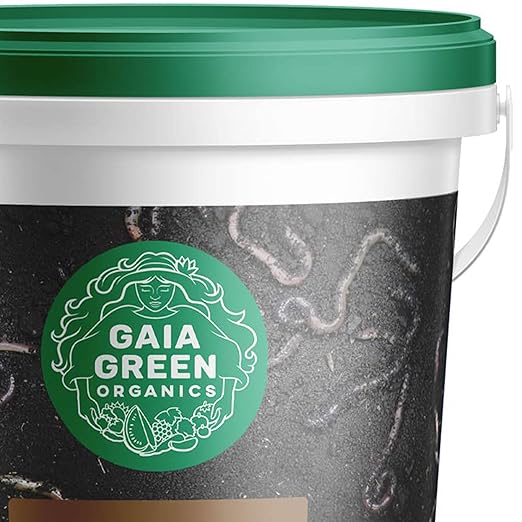 GAIA GREEN 2 Liters All-Purpose Worm Castings Powder for Improved Soil Quality Recommended for Household Plants Urban Gardens Lawns &amp Greenhouses