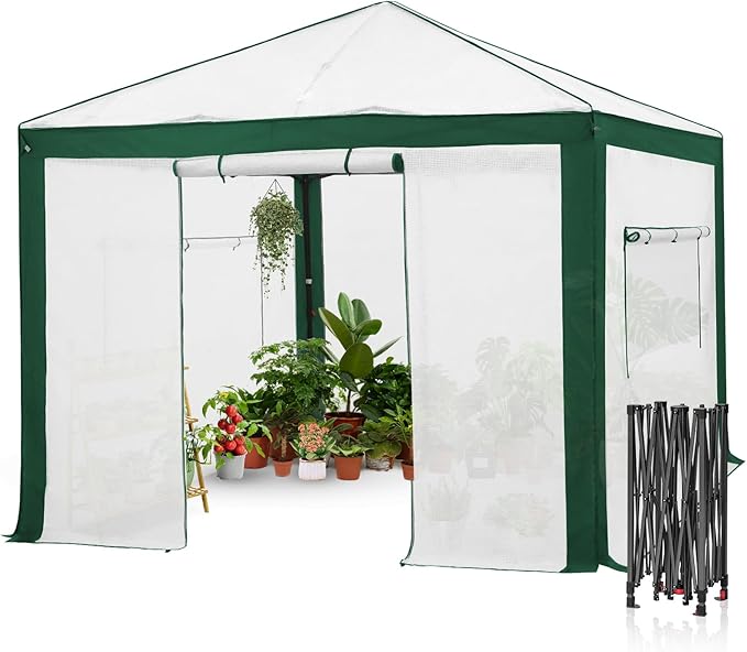EAGLE PEAK 10x10 Portable Walk in Greenhouse with Polyester Reinforced Corners Instant Pop up Indoor Outdoor Gardening Green House Roll Up Zipper Entry Doors and Mesh Windows Green/White