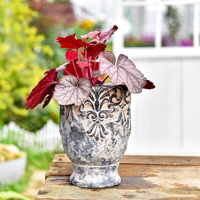 Sungmor 6.3 Inch Cement Plant Pot for Plants Succulent Planter with Embossed Design Vintage Concrete Flowerpots with Drainage Hole Decorative Orchid Houseplant Pot Indoor Outdoor Plant Container
