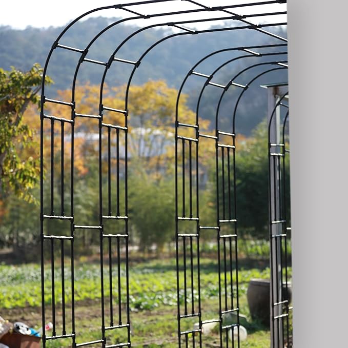 Half Sided Arch Against The Wall Garden Trellis - Garden Arch Arbor Trellis for Climbing Plants Outdoor - Garden Arch for Home Yard and Garden
