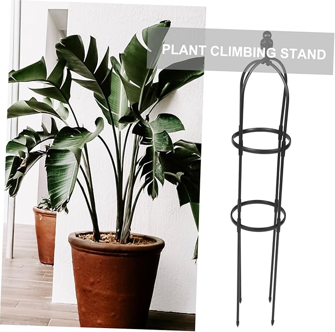 Sturdy Garden Trellis for Climbing Plants Outdoor Indoor Smooth Polished Plant Support Rack for Potted Vines Weather-Resistant Climbing Vine Frame Height