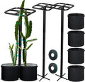 8 Pcs 12 x 48 Inch Dragon Fruit Plant Trellis with 20 Gallon Grow Bags and Wide Stretch Ties for Vertical Gardening Dragonfruit and Vining Plants