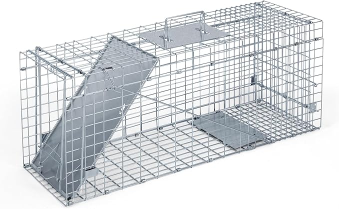 Humane Way Folding 32 Inch Live Humane Animal Trap - Safe Traps for All Animals - Raccoons Cats Groundhogs Opossums - 32 L x 10.2 W x 12.2 H