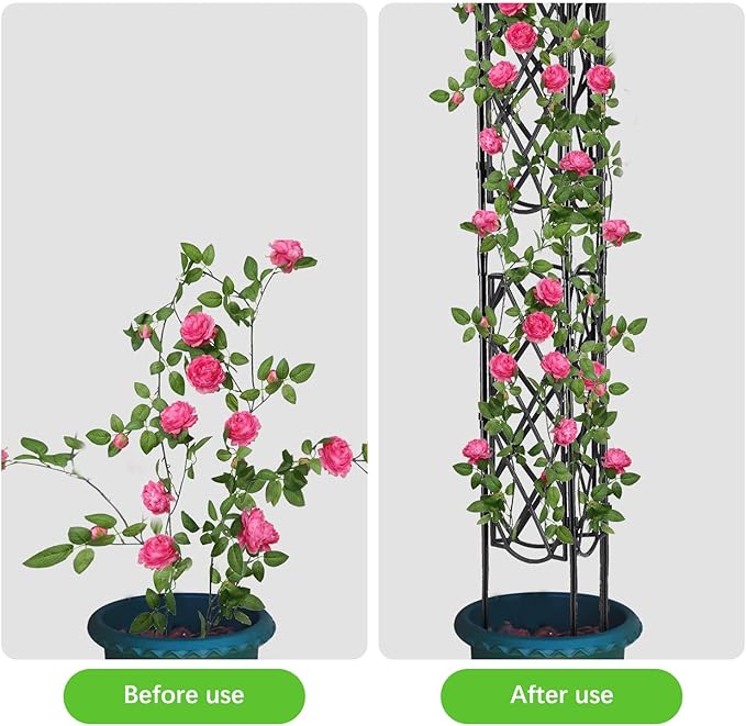 Plant Climbing Support Garden Trellis Rack Trellis Decorative Garden Trellis Metal Support Wire Climbing Plants Vines Flowers Rack for Climbing Vines Flower(#1)