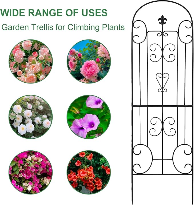 70X18 Metal Garden Trellis for Climbing Plants Climbing Plant Support Heavy-Duty Steel Garden Trellis for Indoor &amp Outdoor Vines Plant Rose Vegetable Support Black (2 Pattern-C)