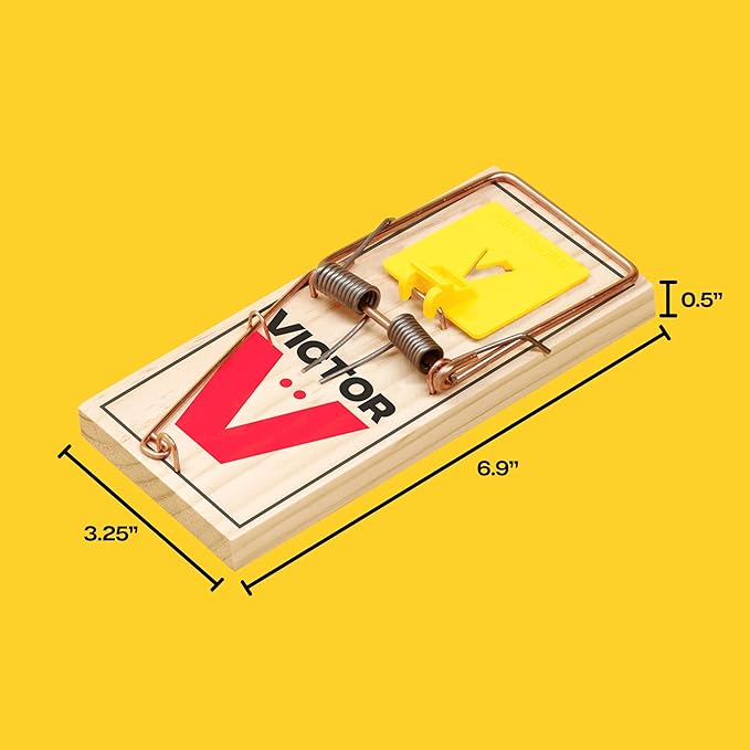 Victor M205 Wide Pedal Humane Snap Rat Traps Indoor for Home Plastic Pedal Sustainably Sourced FSC Wood - 12 Wooden Traps