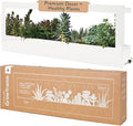 Modern Sprout Smart Landscape Growframe Wall Mounted Planter with LED Grow Light -White