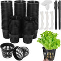 100 Pcs Hydroponic for Planting Baskets with Plastic Pots Root Drainage Control Holes Plants for Ideal Lily Efficient and Design Lightweight Stackable for Growth