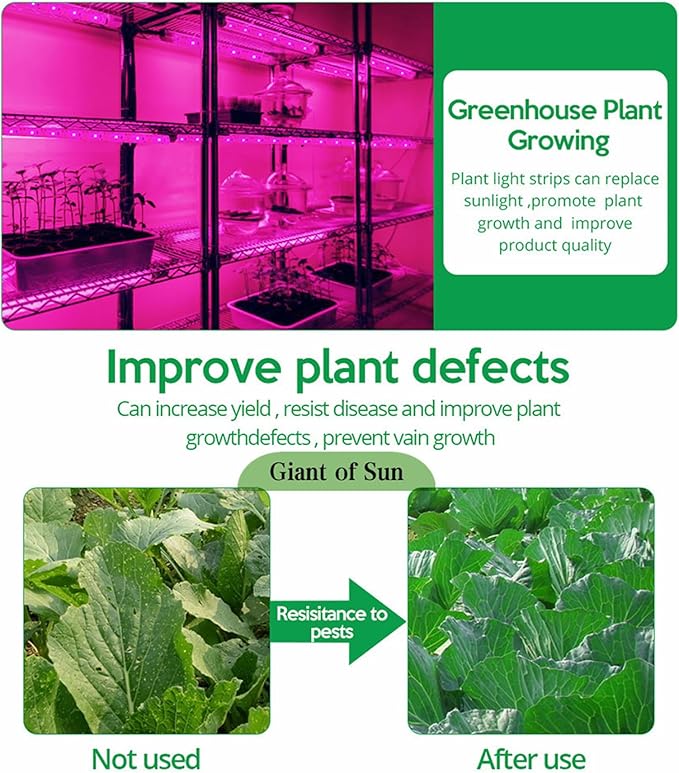 Solar Powered Grow Lights 16.4ft Plant Light Strip with Solar Panel Full Spectrum Solar Grow Lights Solar Heat Lamp for Outdoor Indoor Garden Greenhouse Supplies Solar Powered Grow Lights